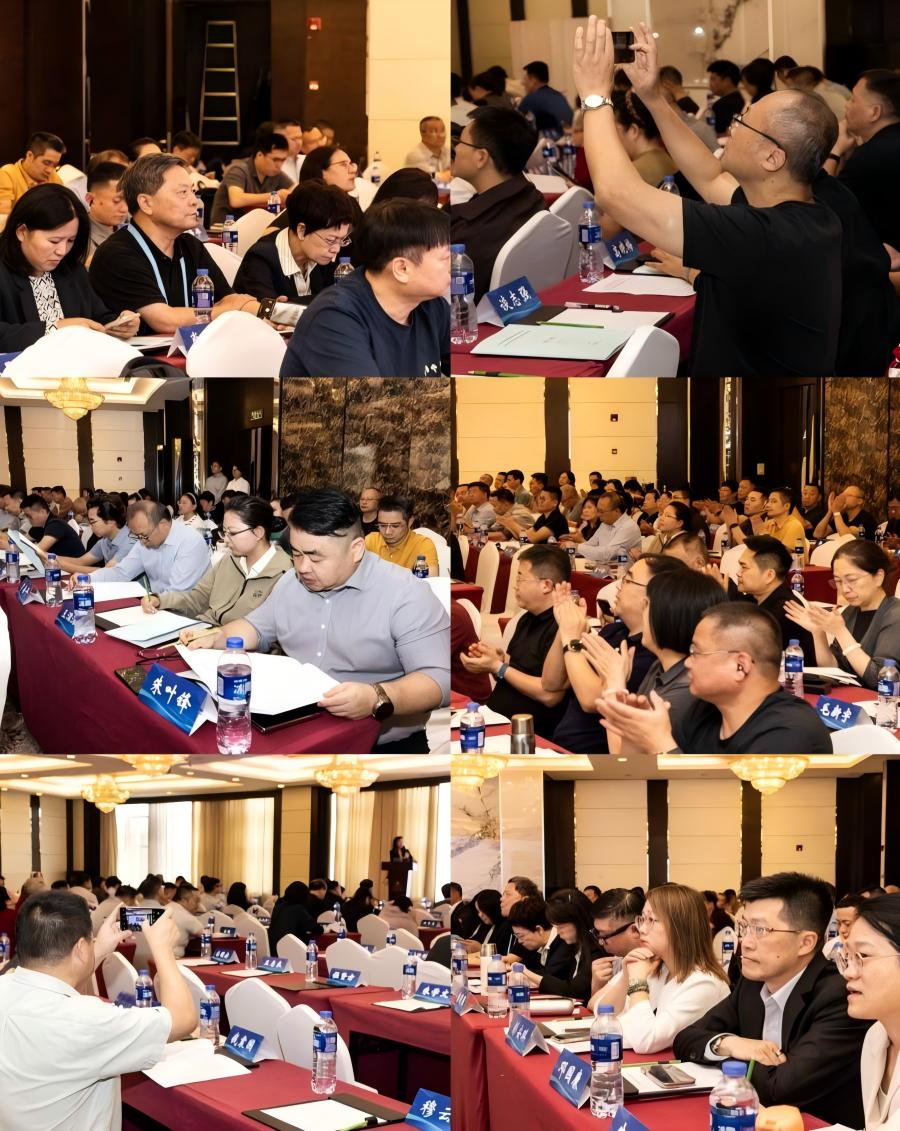 图片 12.jpg 图片 12.jpg